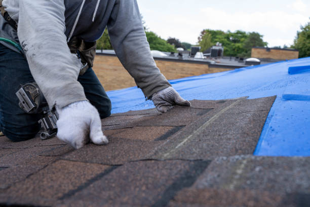 Best Roof Ventilation Installation  in Blackville, SC