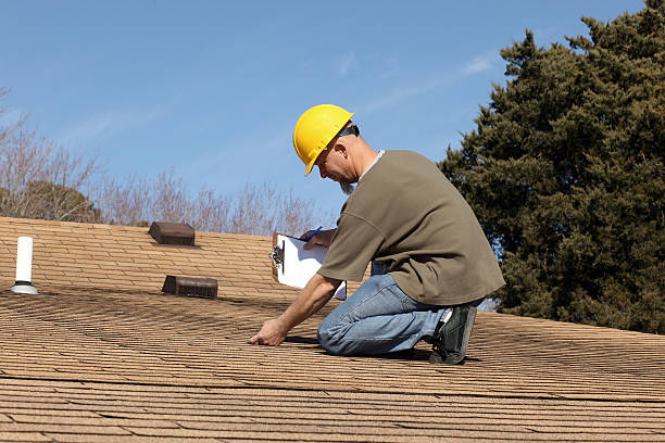Best Asphalt Shingle Roofing  in Blackville, SC